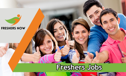 Freshers Jobs